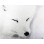 Renard blanc
