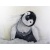 Pingui